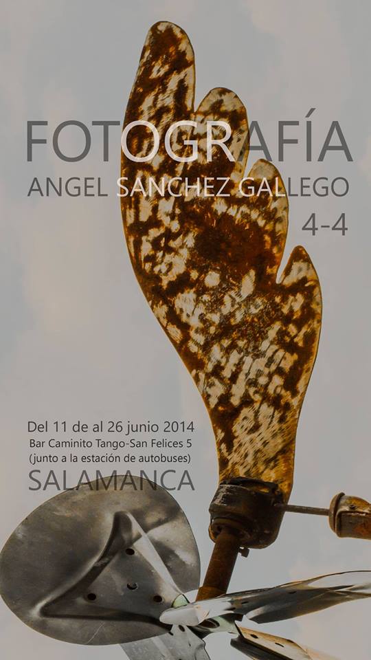 Alguna nueva perspectiva de  Jardines del Robledo en la exposición de fotografía de Angel Sánchez Gallego en Caminito Tango